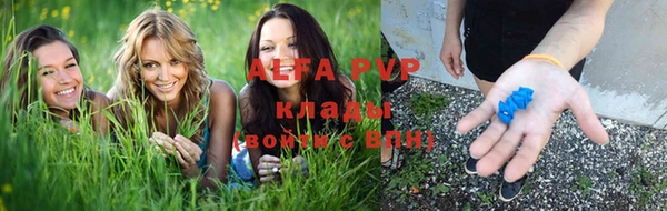 PSILOCYBIN Михайловка